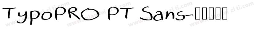 TypoPRO PT Sans字体转换